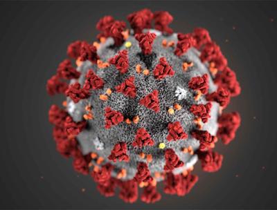 Imagen Destacada - Coronavirus