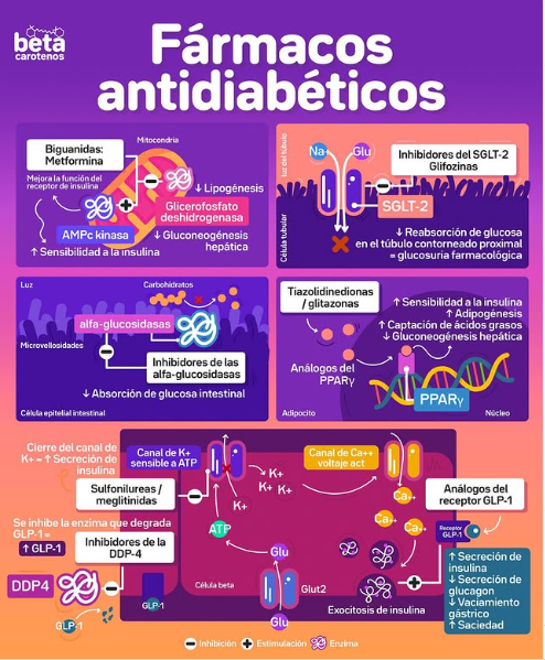 Imagen Destacada - Fármacos antidiabéticos