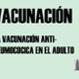 Imagen Destacada - Vacunación antineumocócica